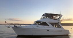 Bayliner 3988 Motor Yacht