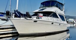 Bayliner 3988 Motor Yacht