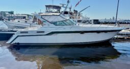 Wellcraft 43 Portofino