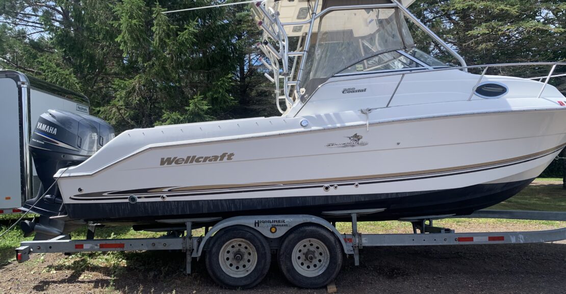WELLCRAFT 250 COASTAL 2003 STARBOARD TRAILER