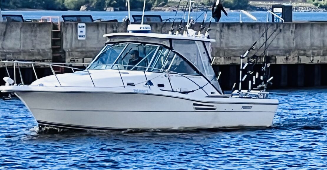 PURSUIT 3000 EXPRESS 2002 PORT ONE