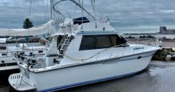 President 37 Sedan Sport Fish