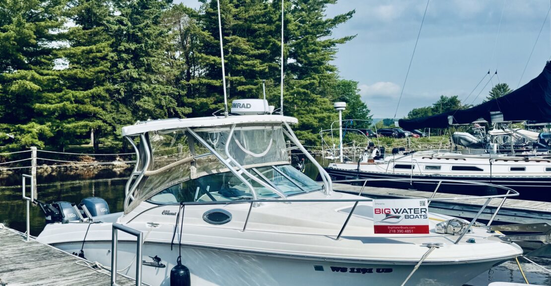 WELLCRAFT 252 COASTAL 2004
